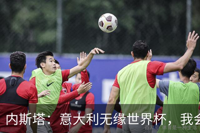 内斯塔：意大利无缘世界杯，我会支持恩师安帅和好友卡纳瓦罗